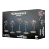Adepta Sororitas: Seraphim Squad