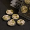 Arid Steppe Bases, Round Lip 40mm (x8)