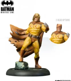 Batman: Catman the Hunter