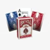 Bicycle: Prestige Rider Back