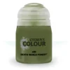 Citadel Air: Death World Forest (24ml)