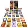 Dixit 8 - Harmonia + karta promo