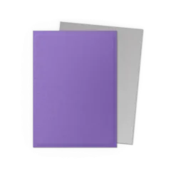 Dragon Shield Matte Dual: Nebula & Silver