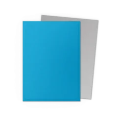 Dragon Shield Matte Dual: Sky Blue & Silver