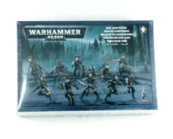Drukhari: Wyches