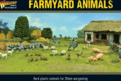 Farmyard Animals