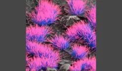 Gamers Grass: Alien Neon Tuft (4mm)