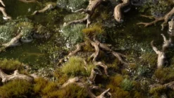 Gamers Grass: Basing Bits - Gnarled Branches