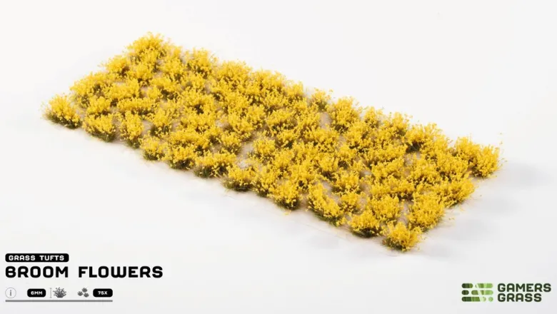 Gamers Grass: Broom Flowers