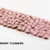 Gamers Grass: Cherry Blossom Flowers