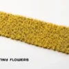 Gamers Grass: Dandelion Tiny Flowers