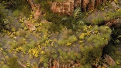Gamers Grass: Dandelion Tiny Flowers