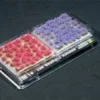 Gamers Grass: Garden Flowers Set