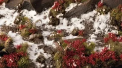 Gamers Grass: Laliguras Flowers