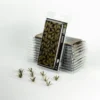 Gamers Grass: Laser Plants - Agave