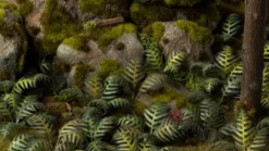Gamers Grass: Laser Plants - Bracken
