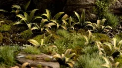 Gamers Grass: Laser Plants - Deer Fern