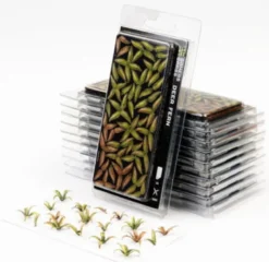 Gamers Grass: Laser Plants - Deer Fern