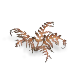 Gamers Grass: Laser Plants - Dry Bracken