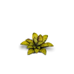 Gamers Grass: Laser Plants - Dumb Cane