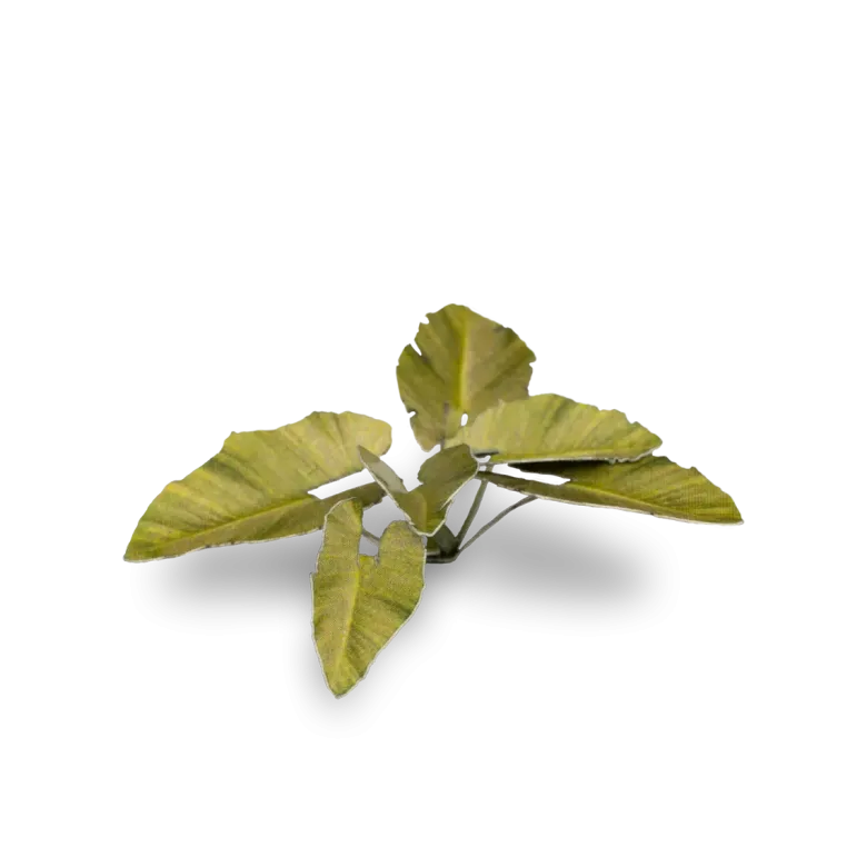 Gamers Grass: Laser Plants - Elephant Ear