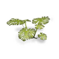 Gamers Grass: Laser Plants - Monstera