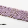 Gamers Grass: Lavender Flowers Tuft