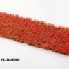 Gamers Grass: Poppy Tiny Flowers