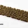 Gamers Grass: Swamp Shrubs