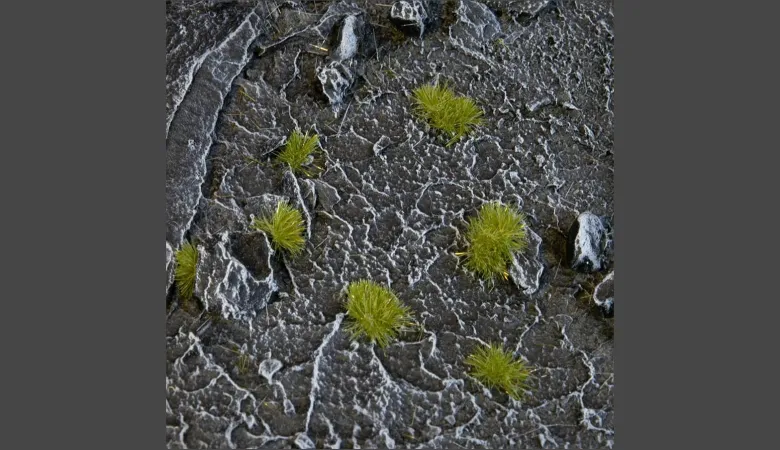 Gamers Grass: Tiny Dry Green Tuft (2mm)