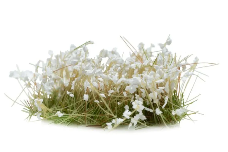 Gamers Grass: White Flowers Tuft
