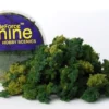 Hobby Round: Summer 3 Color Clump Foliage Mix