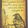 Koszulki Legion: Raven (50 szt.)