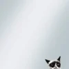 Koszulki Ochronne Zewnętrzne Grumpy Cat - 50szt