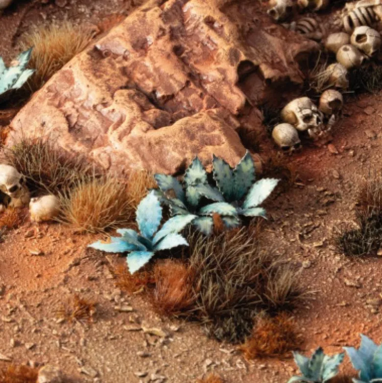 Laser Plants - Blue Agave