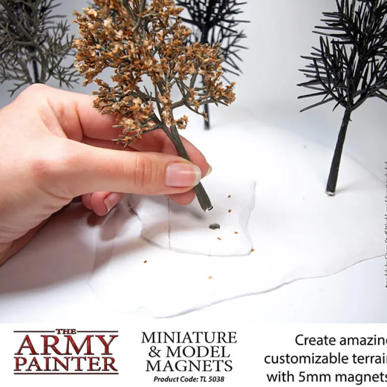Miniature & Model Magnets