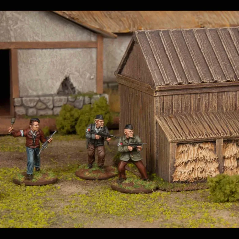 Partisans (1) French Resistance