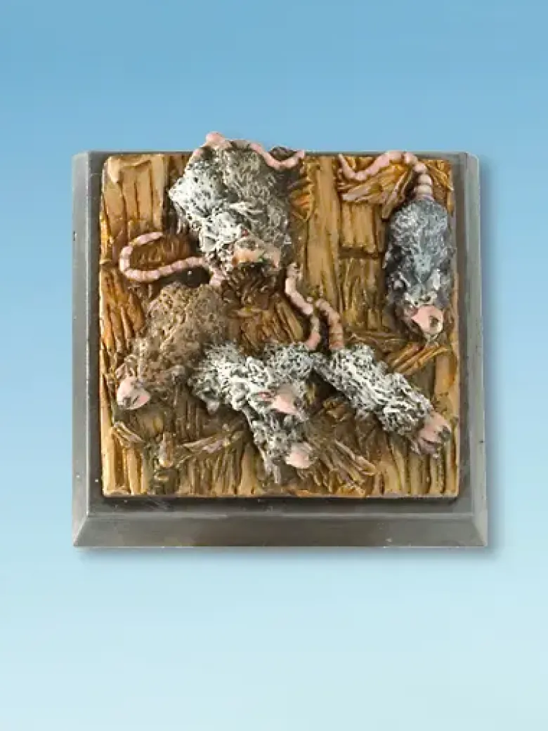 Rat Swarms
