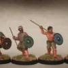 Saga: Irish Warriors