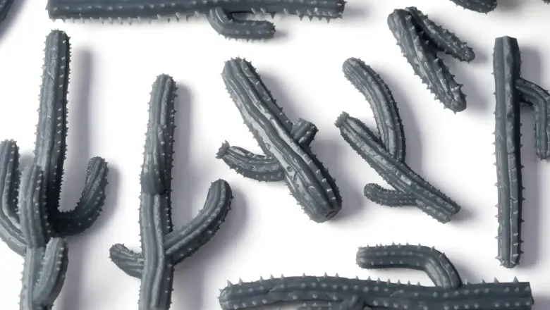 Saguaro Cacti - Basing Bits