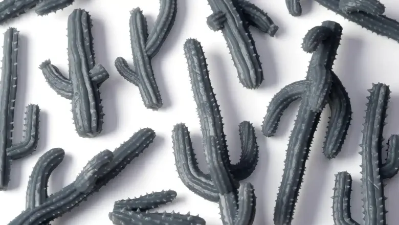 Saguaro Cacti - Basing Bits