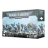 Space Wolves: Grey Hunters