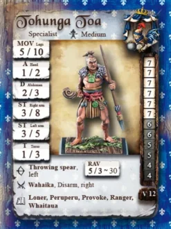Tohunga Toa