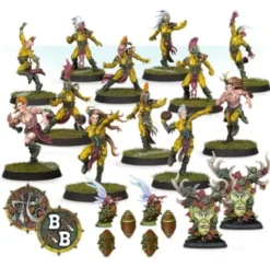Wood Elf Blood Bowl Team – Athelorn Avengers